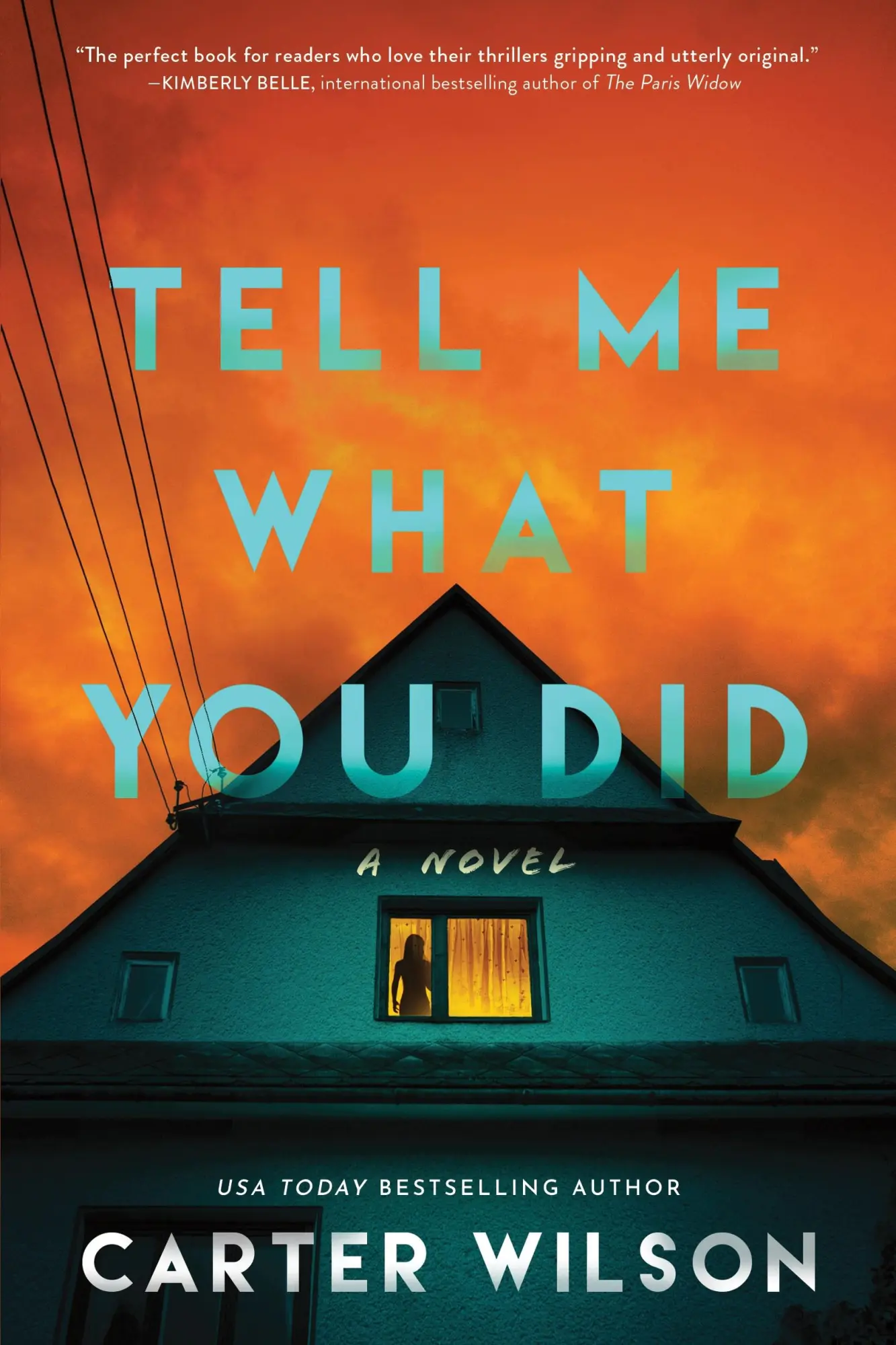 Cover: 9781464226229 | Tell Me What You Did | Carter Wilson | Taschenbuch | Englisch | 2025
