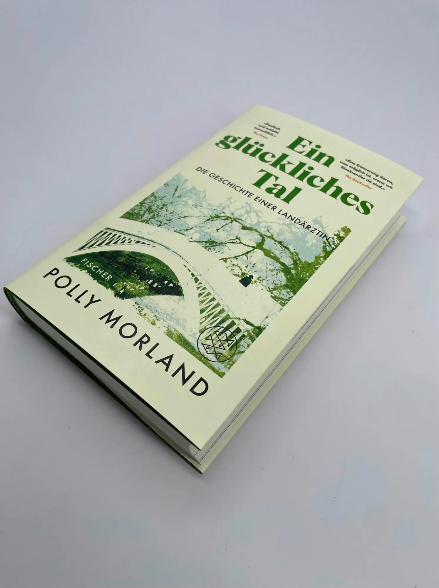 Bild: 9783103976229 | Ein glückliches Tal | Die Geschichte einer Landärztin | Polly Morland