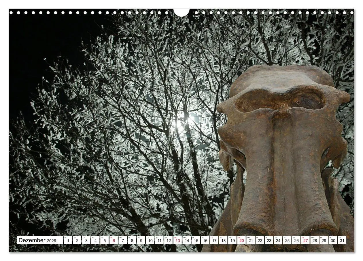 Bild: 9783457646229 | Versteinerte Welt (Wandkalender 2026 DIN A3 quer), CALVENDO...