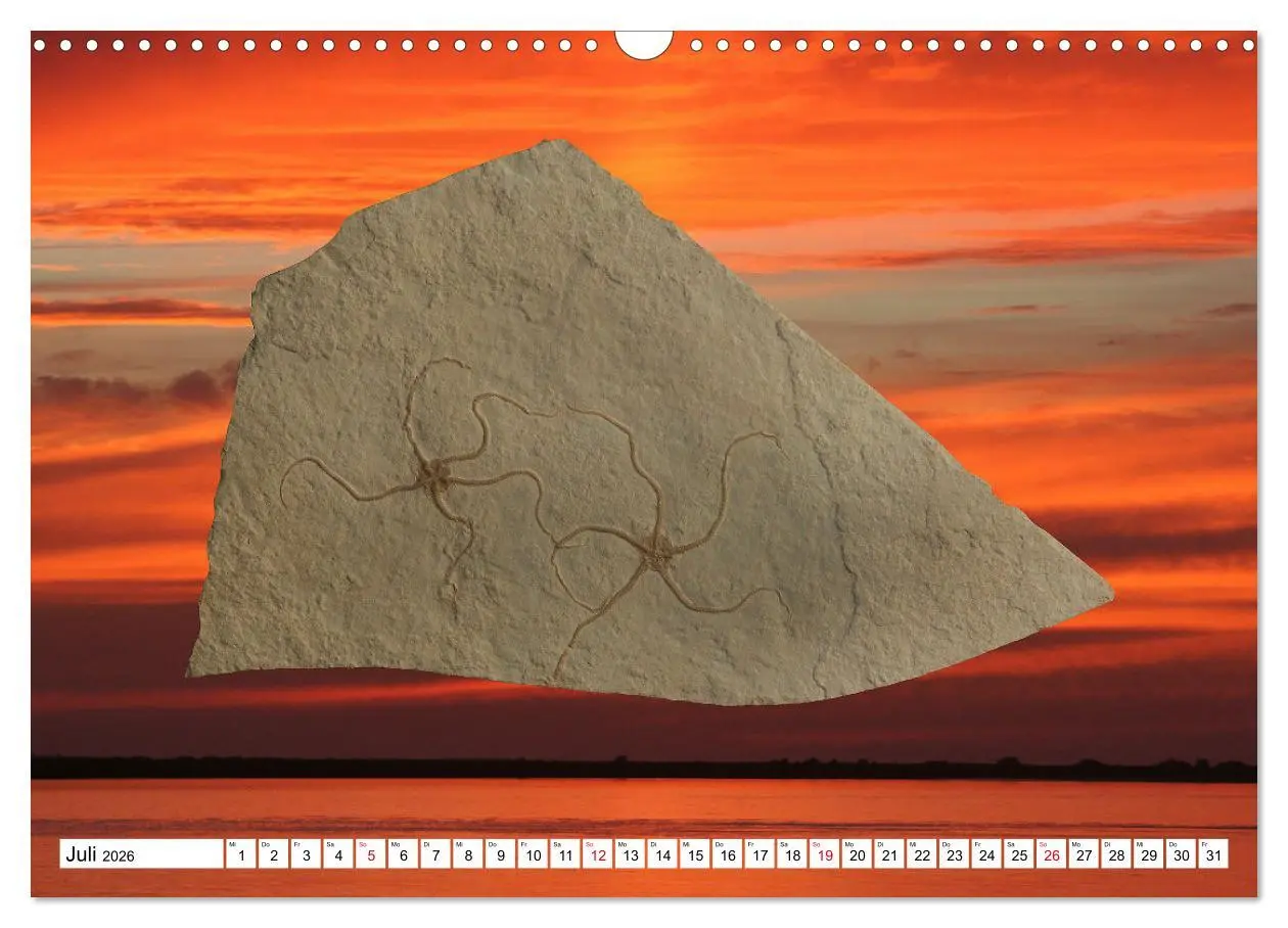 Bild: 9783457646229 | Versteinerte Welt (Wandkalender 2026 DIN A3 quer), CALVENDO...