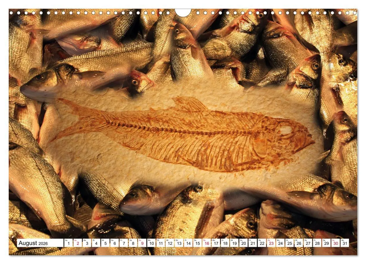 Bild: 9783457646229 | Versteinerte Welt (Wandkalender 2026 DIN A3 quer), CALVENDO...