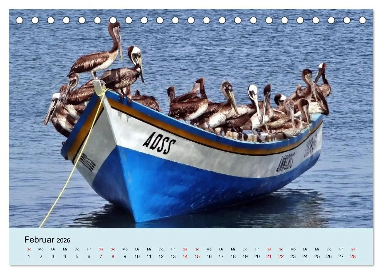 Bild: 9783516736229 | Venezuela - Natur pur Orinoco Delta und die Anden (Tischkalender...