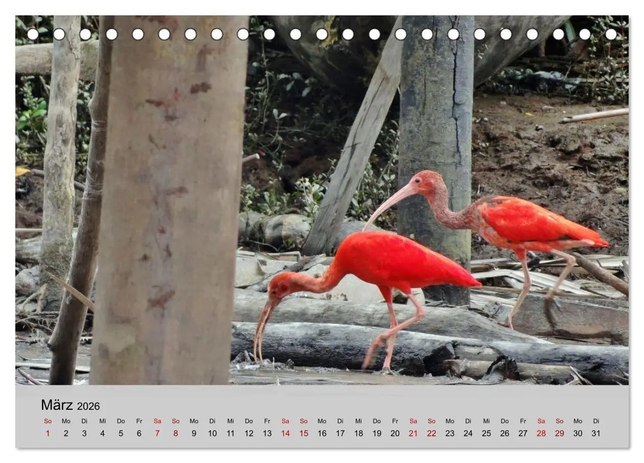 Bild: 9783516736229 | Venezuela - Natur pur Orinoco Delta und die Anden (Tischkalender...
