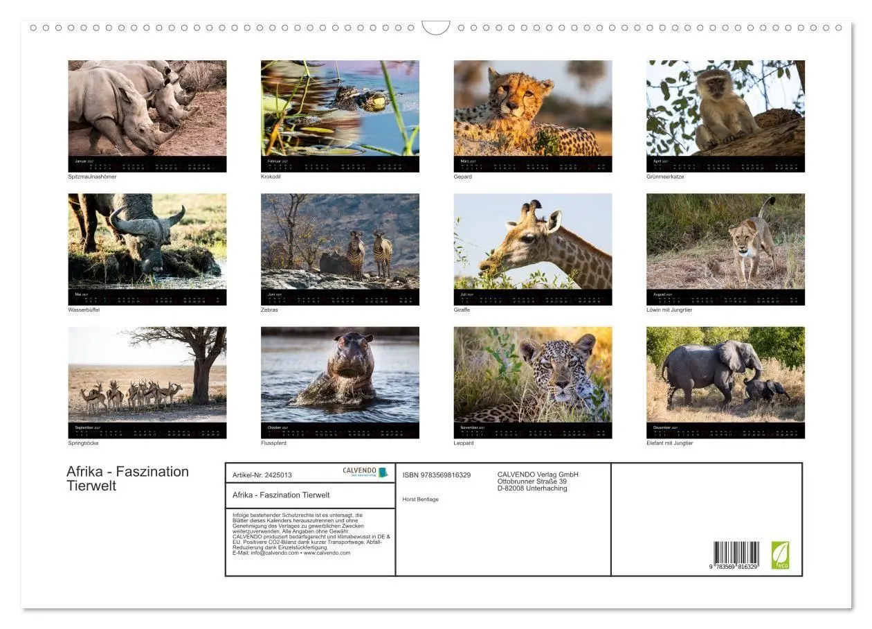 Bild: 9783569816329 | Afrika - Faszination Tierwelt (Wandkalender 2027 DIN A2 quer),...
