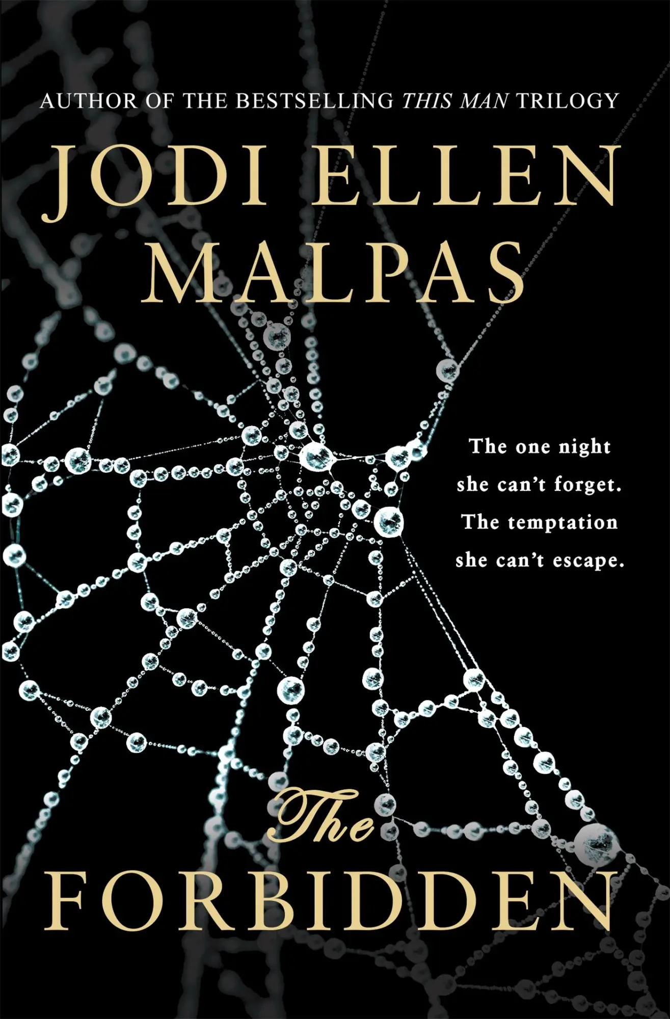 Cover: 9781409166429 | The Forbidden | Jodi Ellen Malpas | Taschenbuch | Englisch | 2017