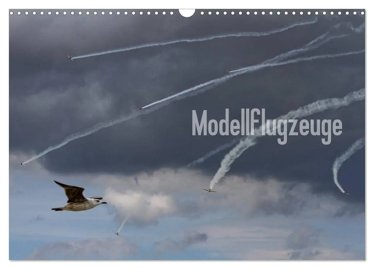 Cover: 9783594246429 | Modellflugzeuge Nr. 1 / 2027 (Wandkalender 2027 DIN A3 quer),...