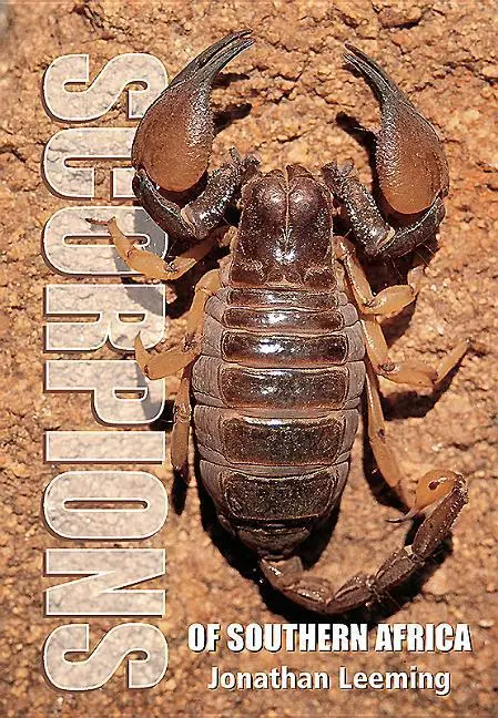 Cover: 9781775846529 | SCORPIONS OF SOUTH AFRICA 2/E | Jonathan Leeming | Taschenbuch | 2019