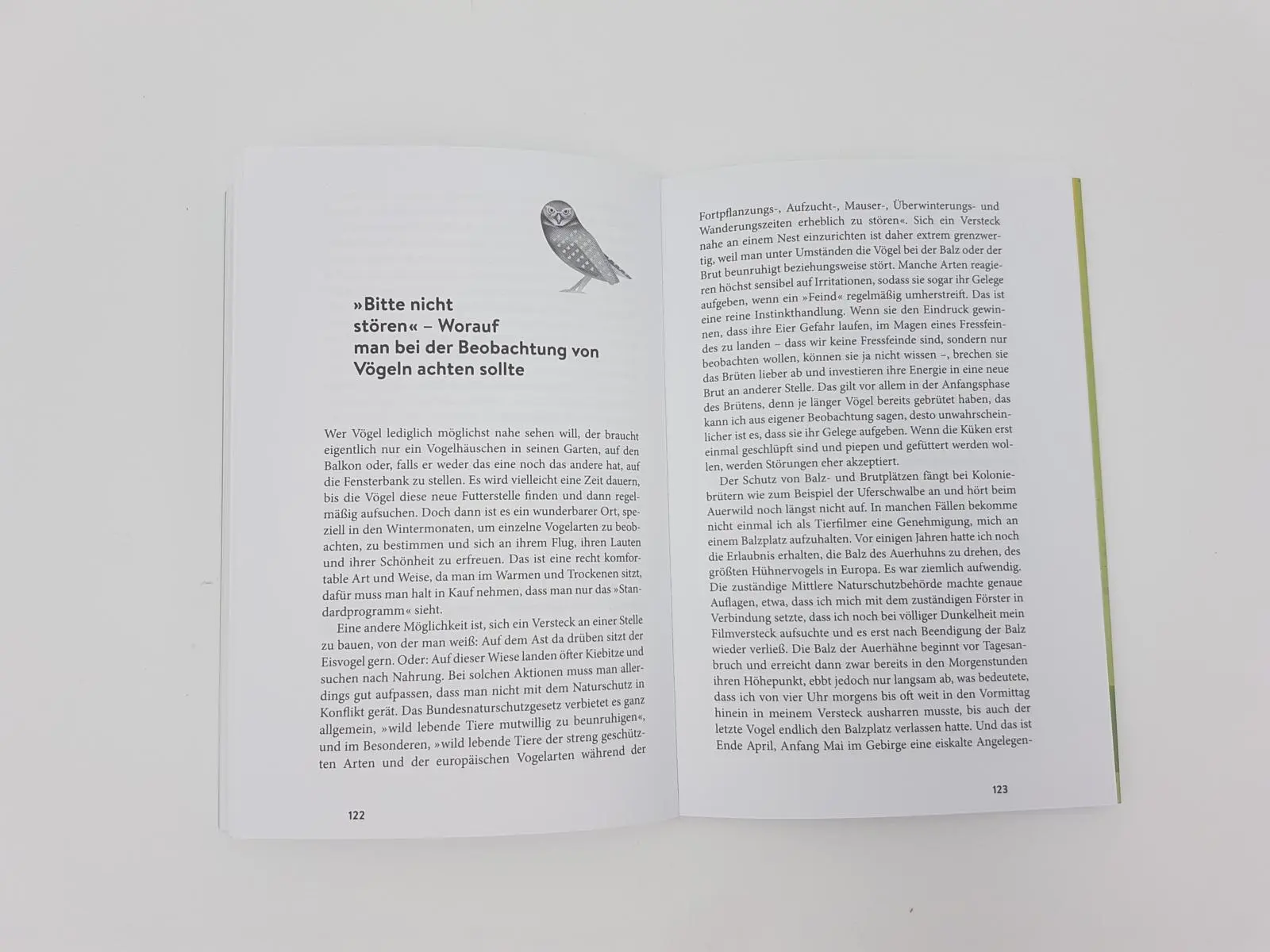 Bild: 9783492406529 | Kielings kleine Waldschule | Andreas Kieling | Taschenbuch | 208 S.