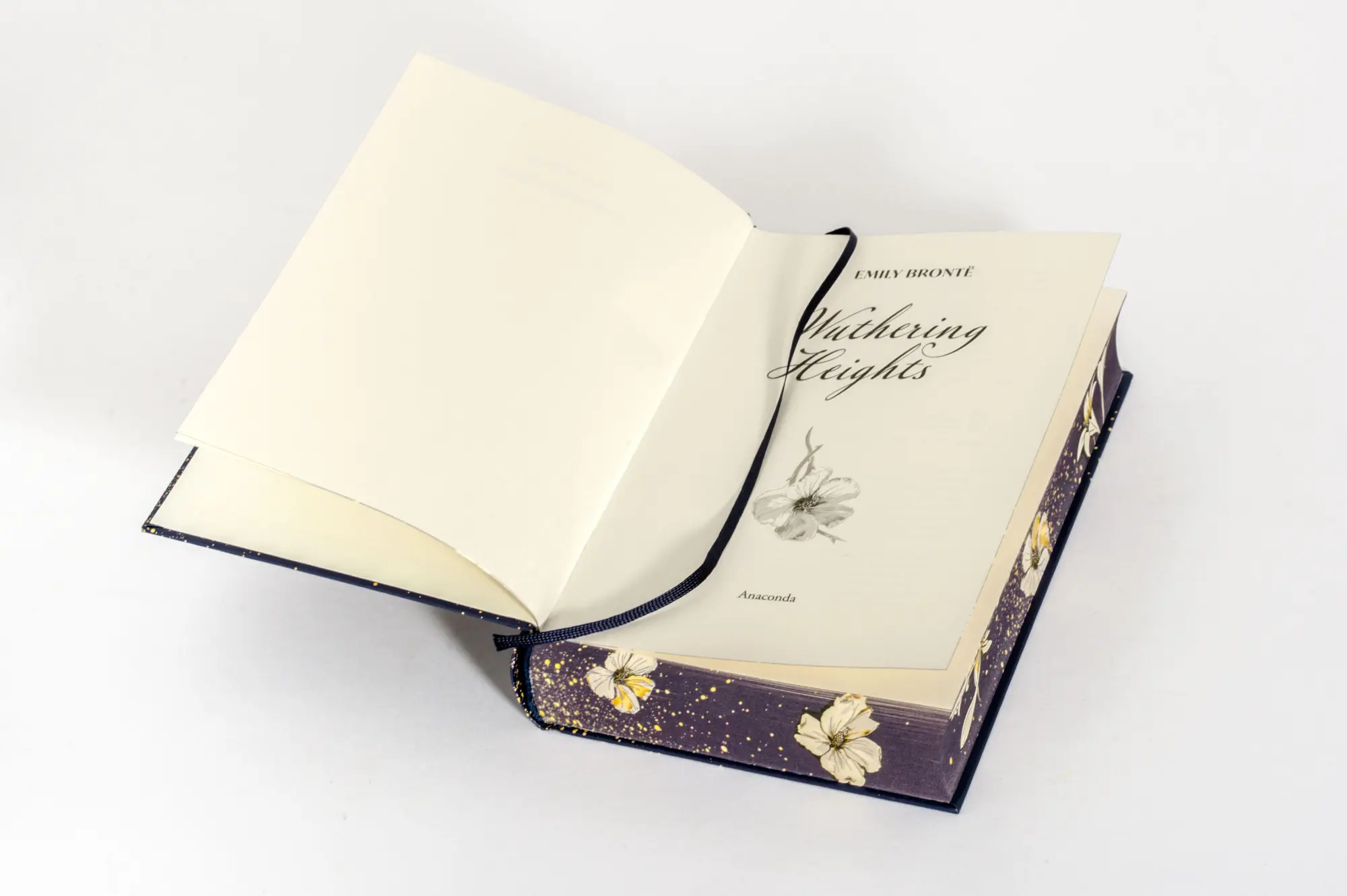Bild: 9783730616529 | Brontë - Wuthering Heights | Deluxe edition with coloured edges | Buch