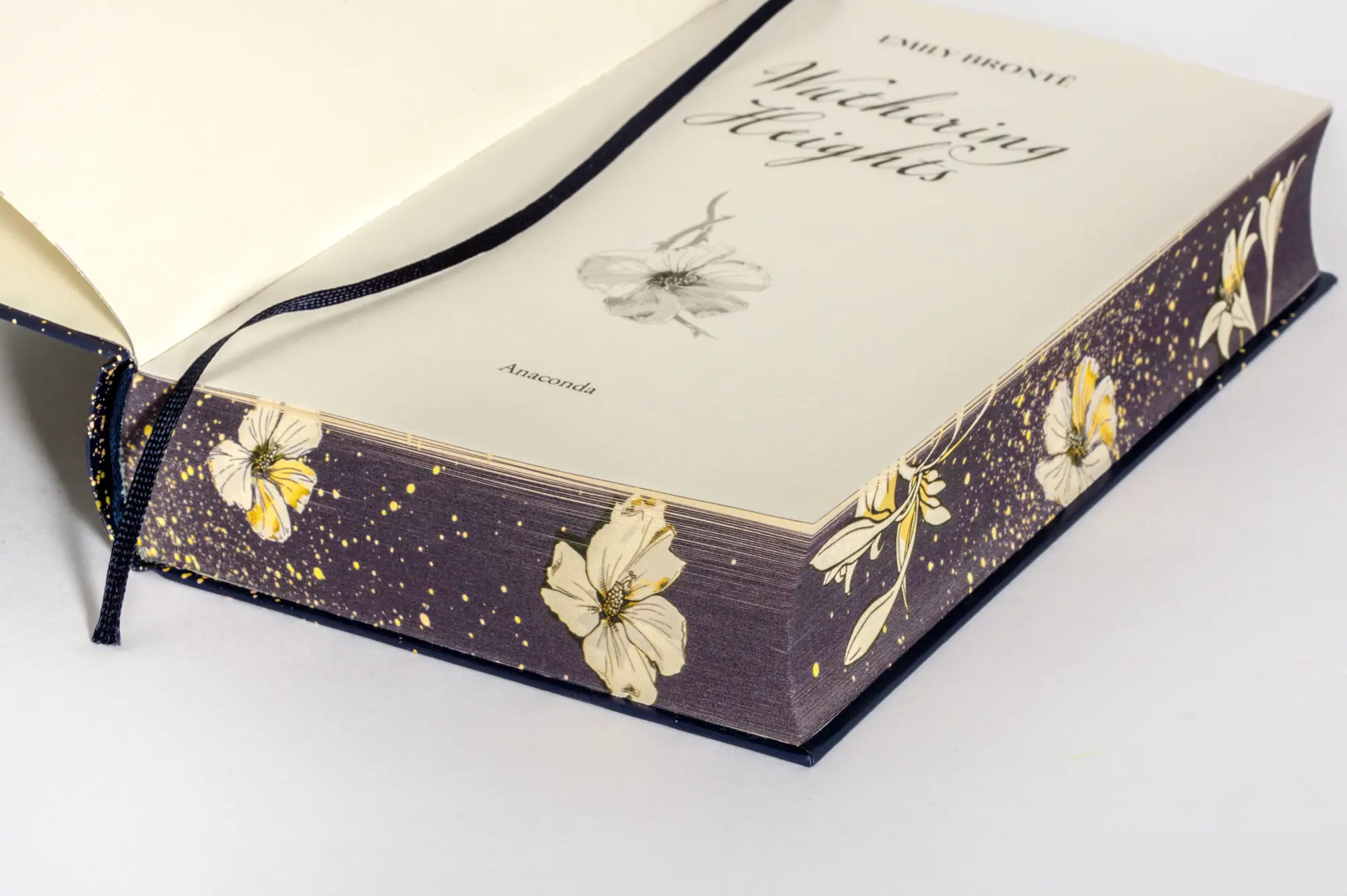 Bild: 9783730616529 | Brontë - Wuthering Heights | Deluxe edition with coloured edges | Buch