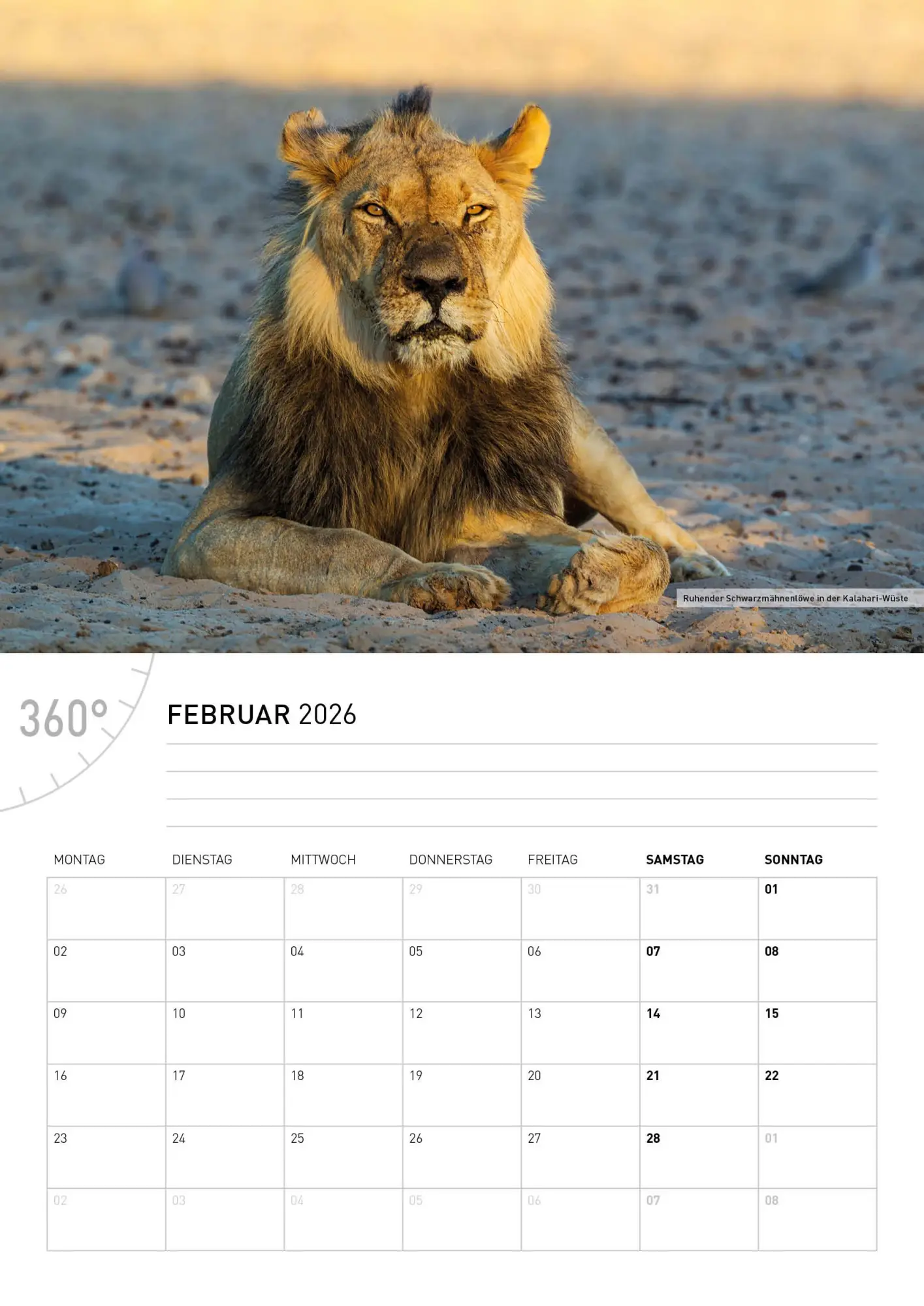 Bild: 9783968556529 | Namibia Broschürenkalender 2026 | Thomas Dreßler | Kalender | 28 S.