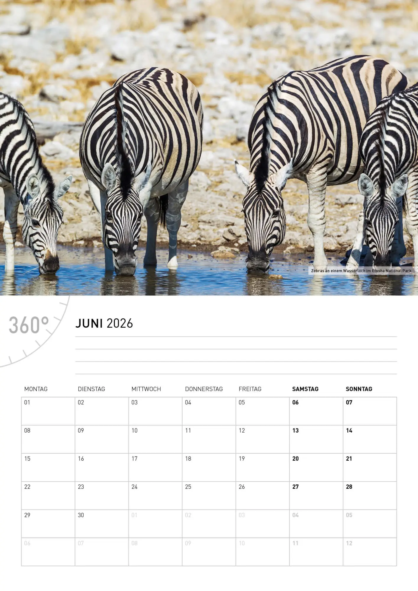 Bild: 9783968556529 | Namibia Broschürenkalender 2026 | Thomas Dreßler | Kalender | 28 S.