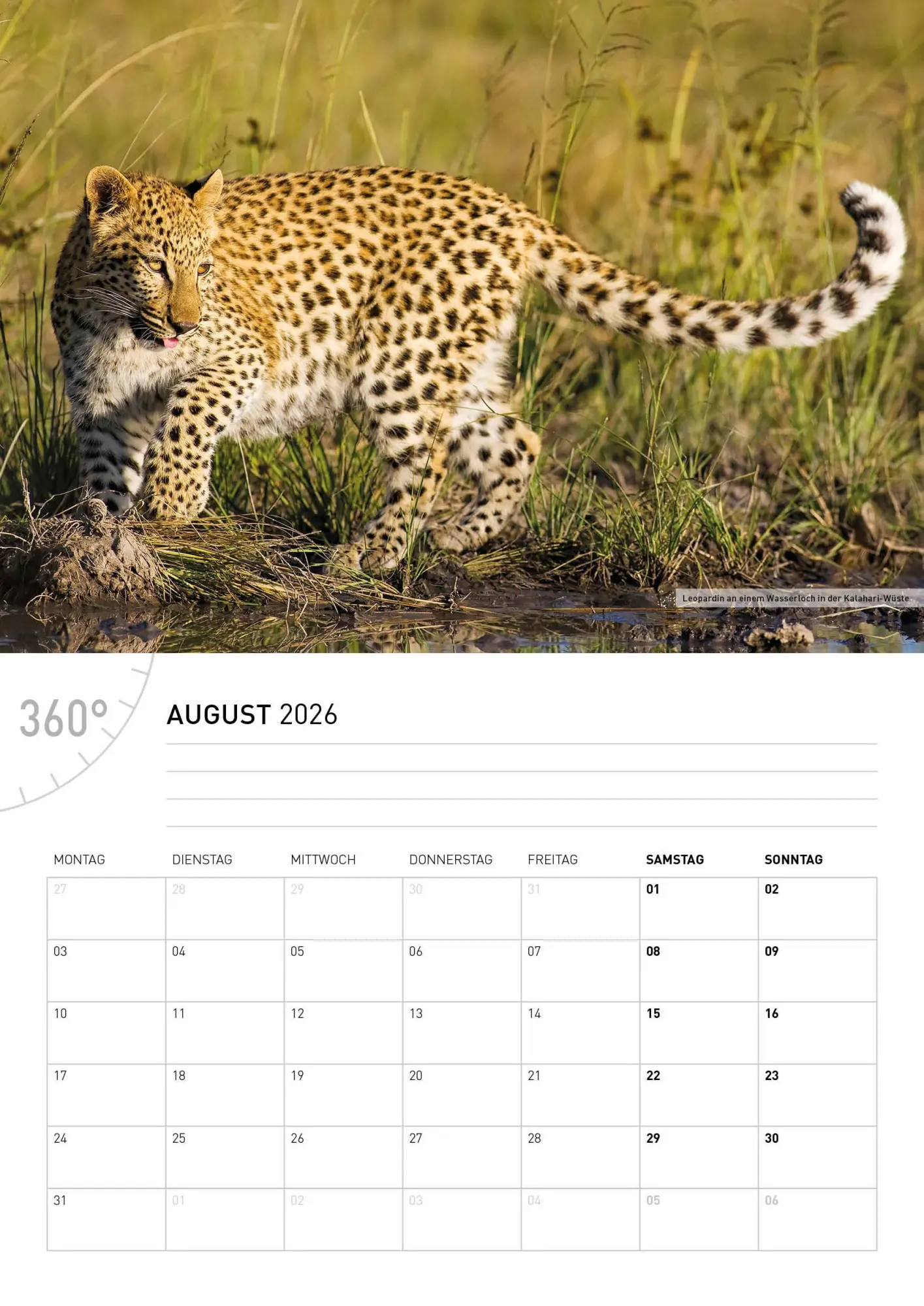 Bild: 9783968556529 | Namibia Broschürenkalender 2026 | Thomas Dreßler | Kalender | 28 S.