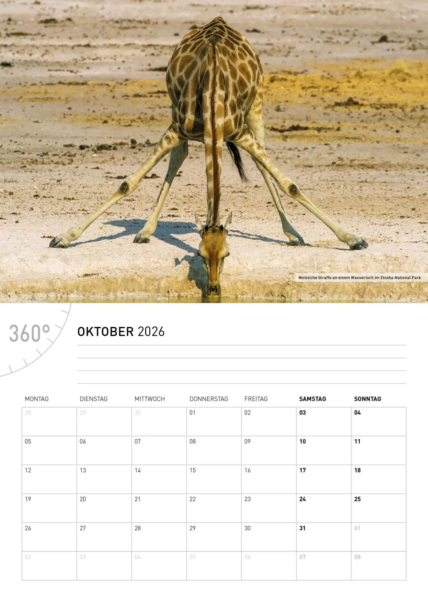 Bild: 9783968556529 | Namibia Broschürenkalender 2026 | Thomas Dreßler | Kalender | 28 S.