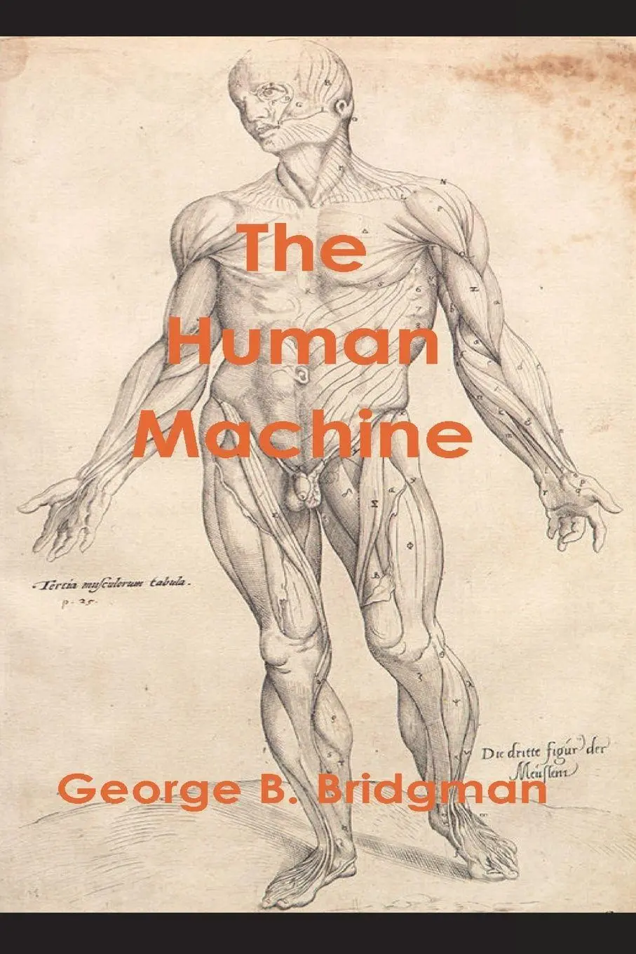 Cover: 9781773236629 | The Human Machine | George B. Bridgman | Taschenbuch | Englisch | 2022