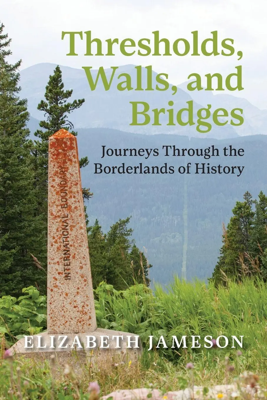 Cover: 9781773856629 | Thresholds, Walls, and Bridges | Elizabeth Jameson | Taschenbuch