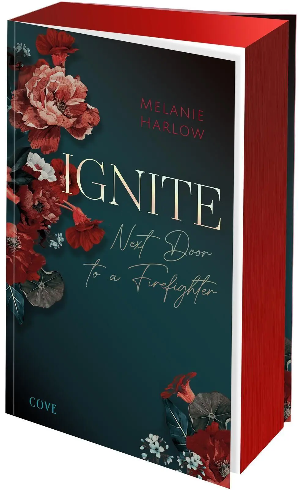 Cover: 9783551586629 | Ignite (New Beginnings at Cloverleigh Farm 1) | Melanie Harlow | Buch