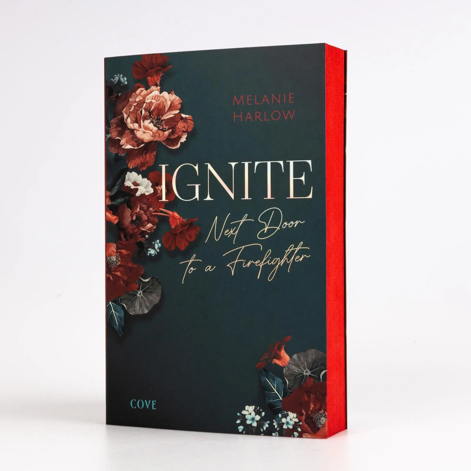 Bild: 9783551586629 | Ignite (New Beginnings at Cloverleigh Farm 1) | Melanie Harlow | Buch