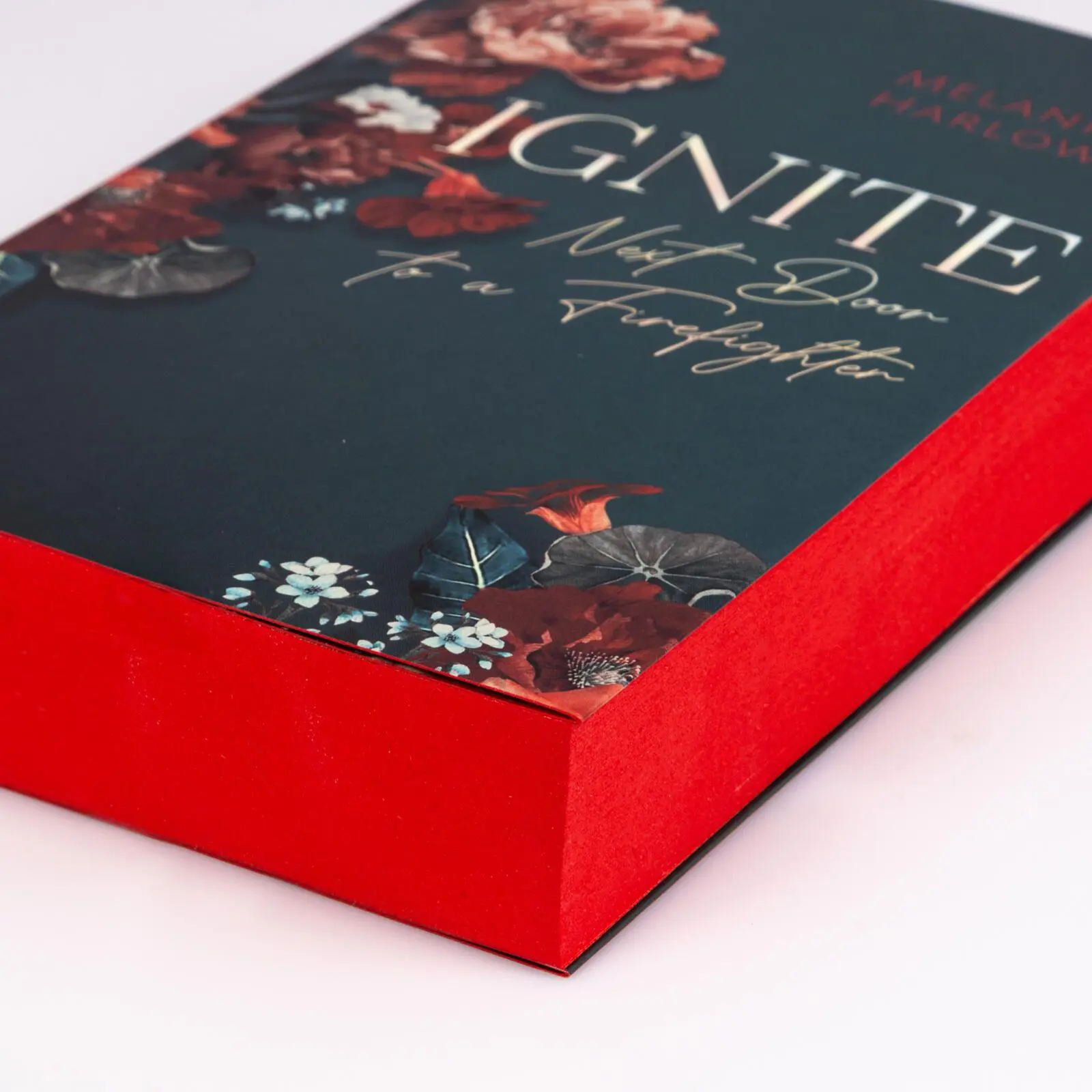 Bild: 9783551586629 | Ignite (New Beginnings at Cloverleigh Farm 1) | Melanie Harlow | Buch
