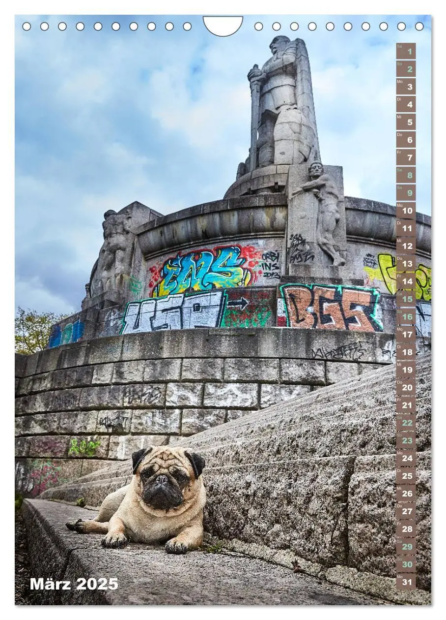 Bild: 9783435986729 | Möpse in Hamburg (Wandkalender 2025 DIN A4 hoch), CALVENDO...