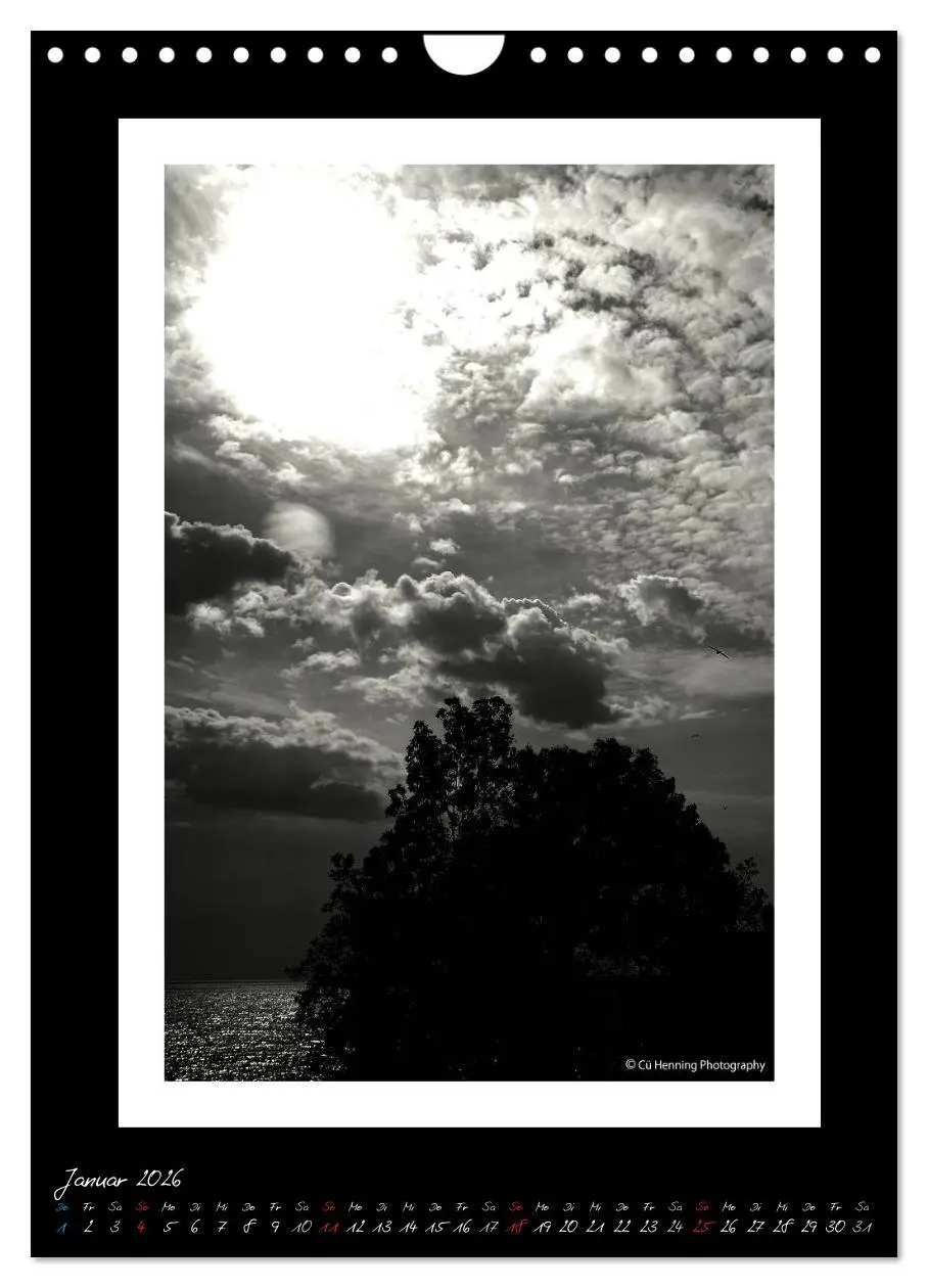 Bild: 9783516476729 | Lichtermeer (Wandkalender 2026 DIN A4 hoch), CALVENDO Monatskalender