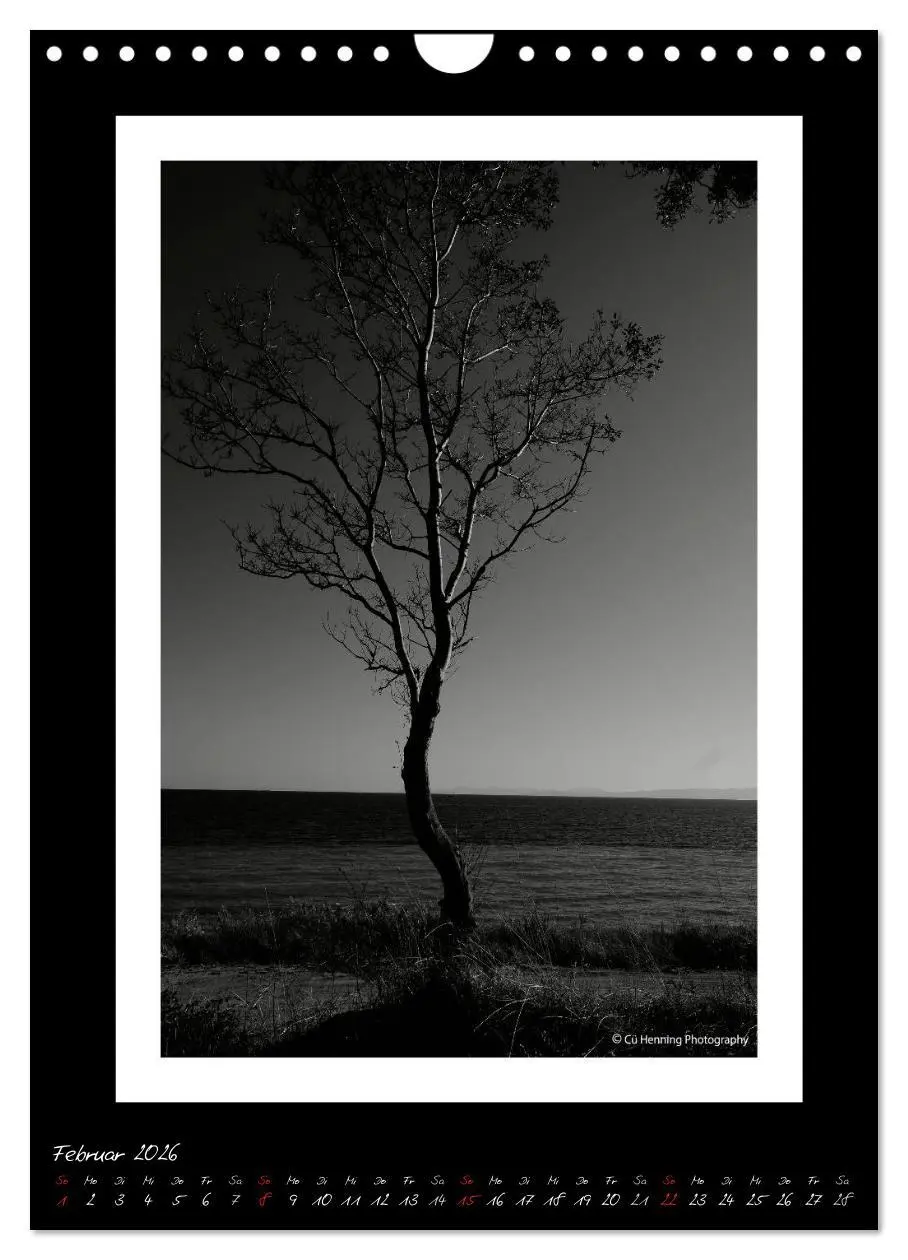 Bild: 9783516476729 | Lichtermeer (Wandkalender 2026 DIN A4 hoch), CALVENDO Monatskalender