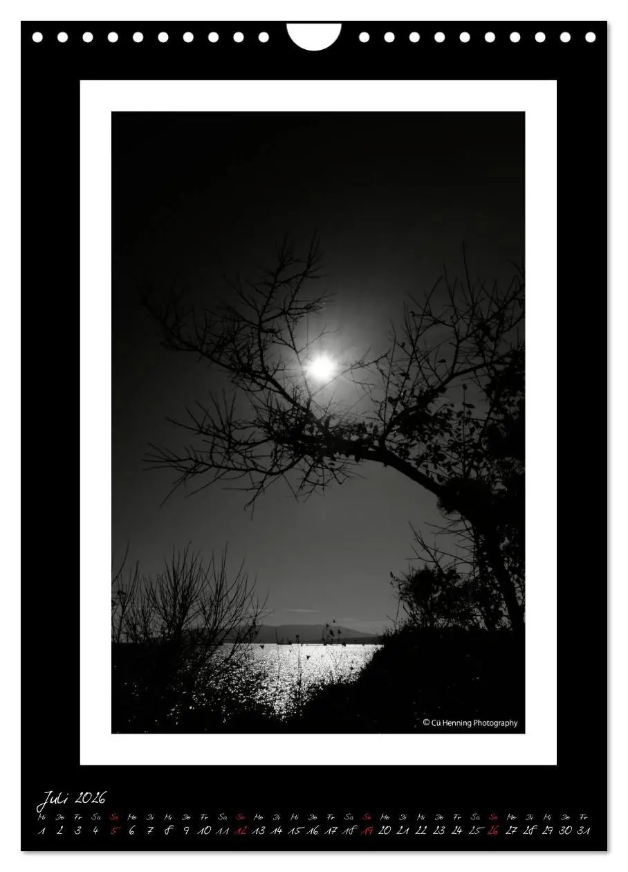 Bild: 9783516476729 | Lichtermeer (Wandkalender 2026 DIN A4 hoch), CALVENDO Monatskalender