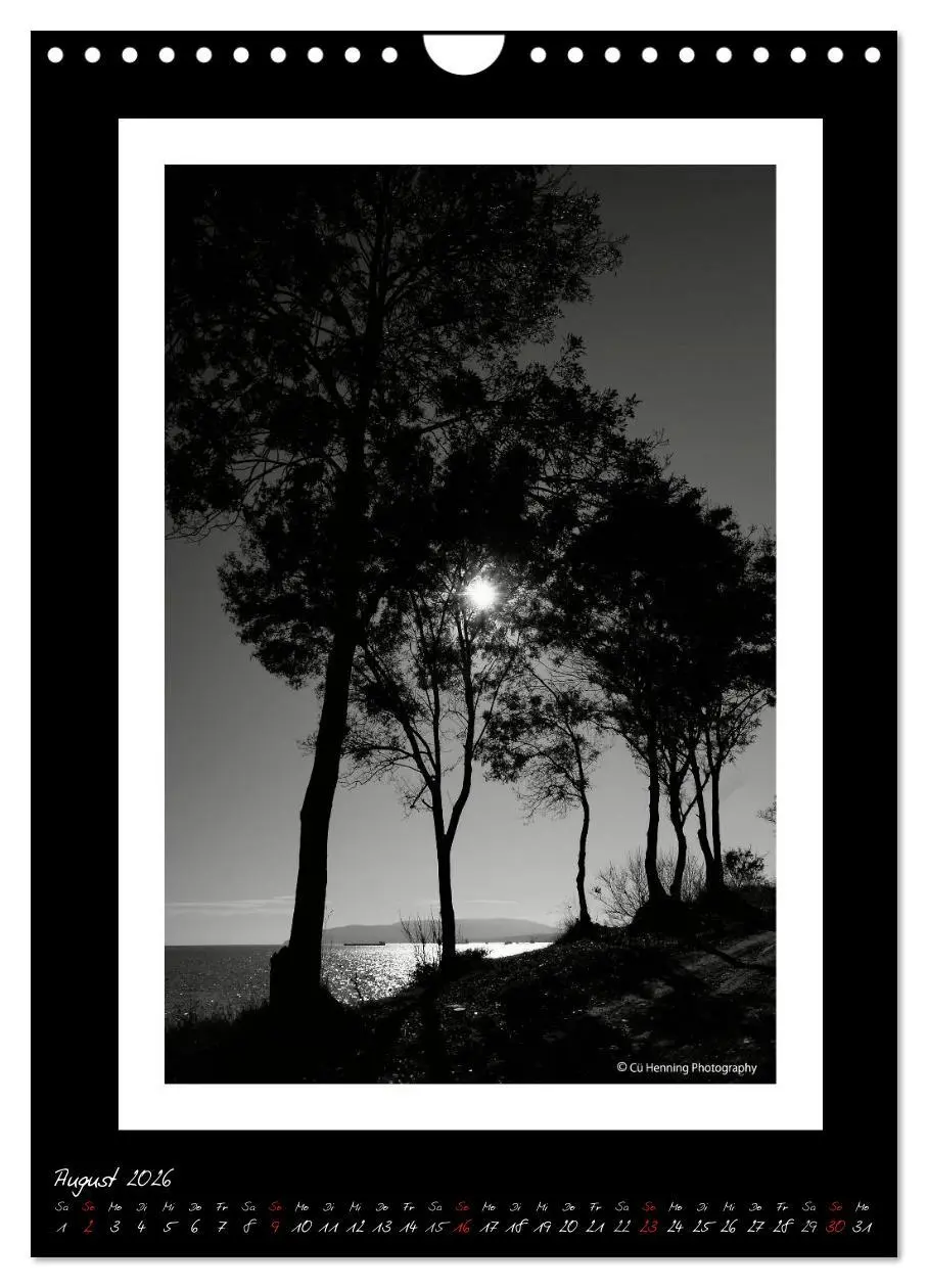 Bild: 9783516476729 | Lichtermeer (Wandkalender 2026 DIN A4 hoch), CALVENDO Monatskalender