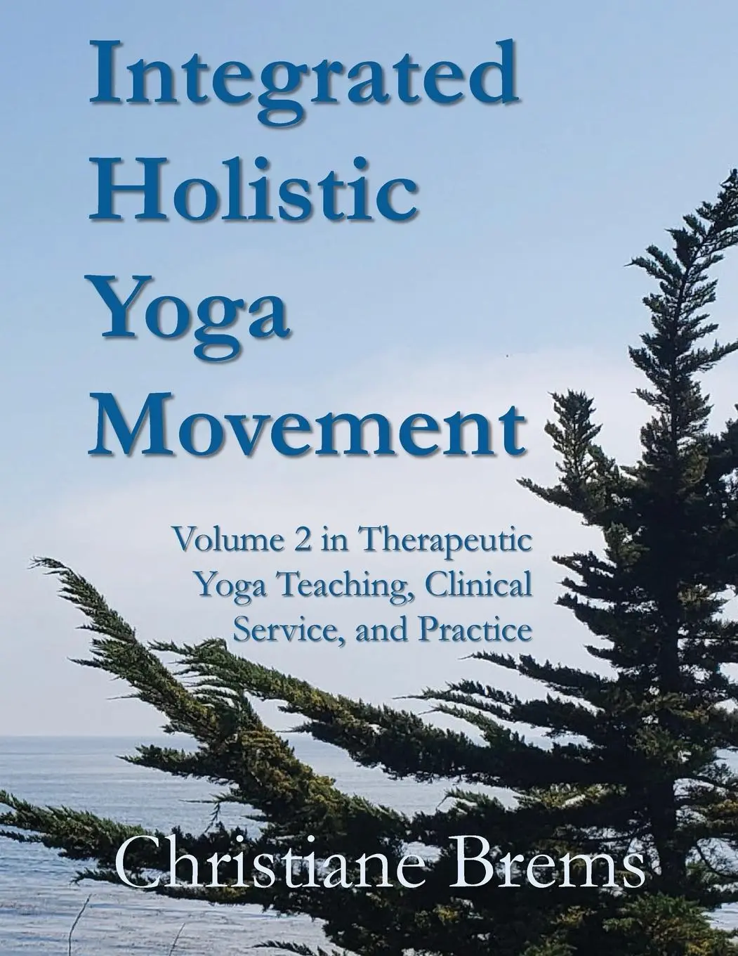 Cover: 9798992856729 | Integrated Holistic Yoga Movement | Christiane Brems | Taschenbuch