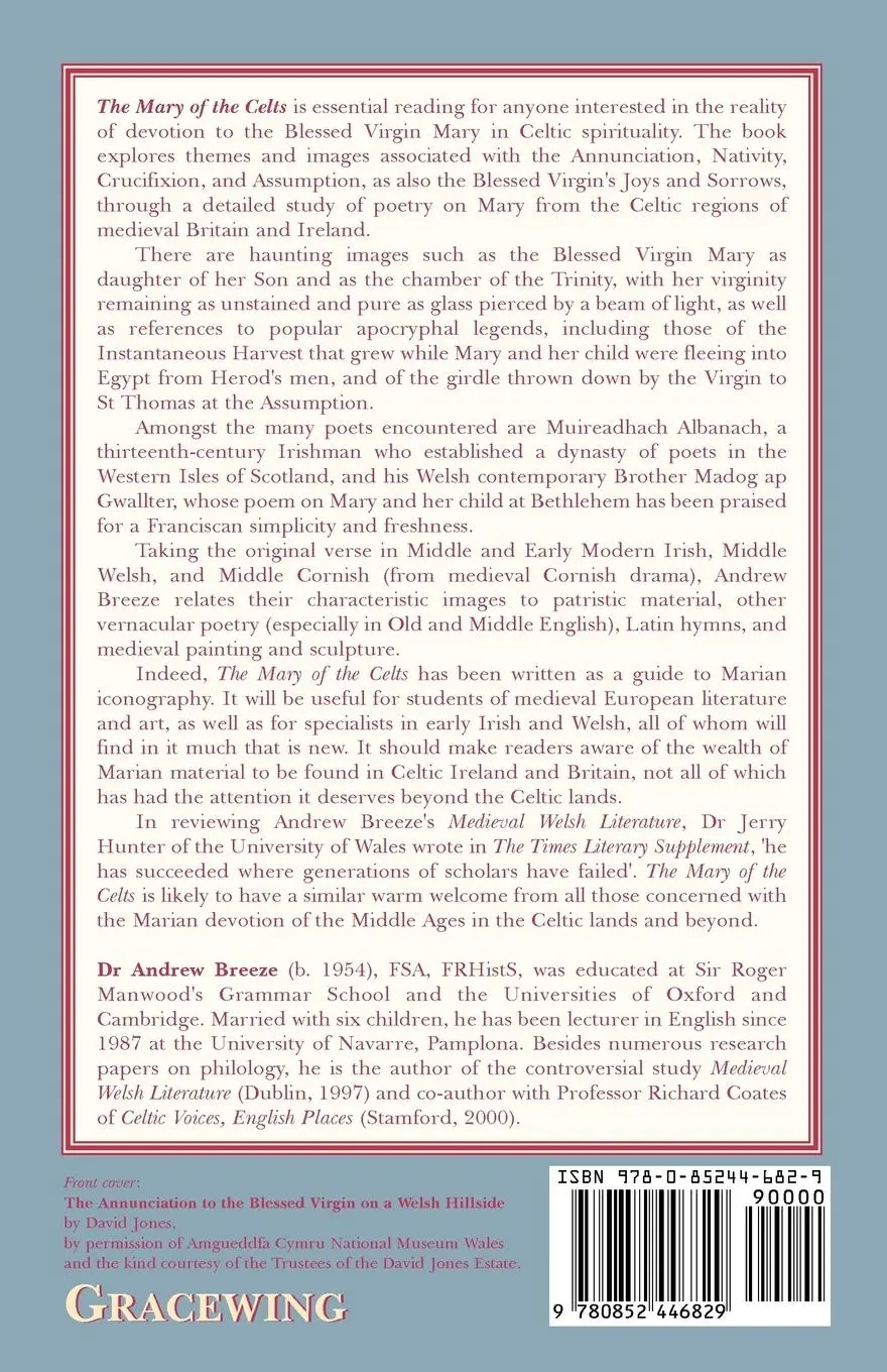 Rückseite: 9780852446829 | The Mary of the Celts | Andrew Breeze | Taschenbuch | Englisch | 2008