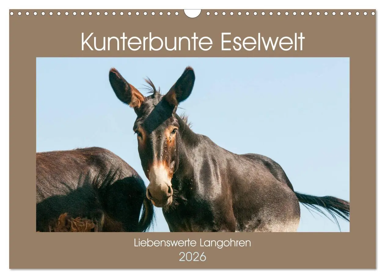 Cover: 9783457756829 | Kunterbunte Eselwelt - Liebenswerte Langohren (Wandkalender 2026...