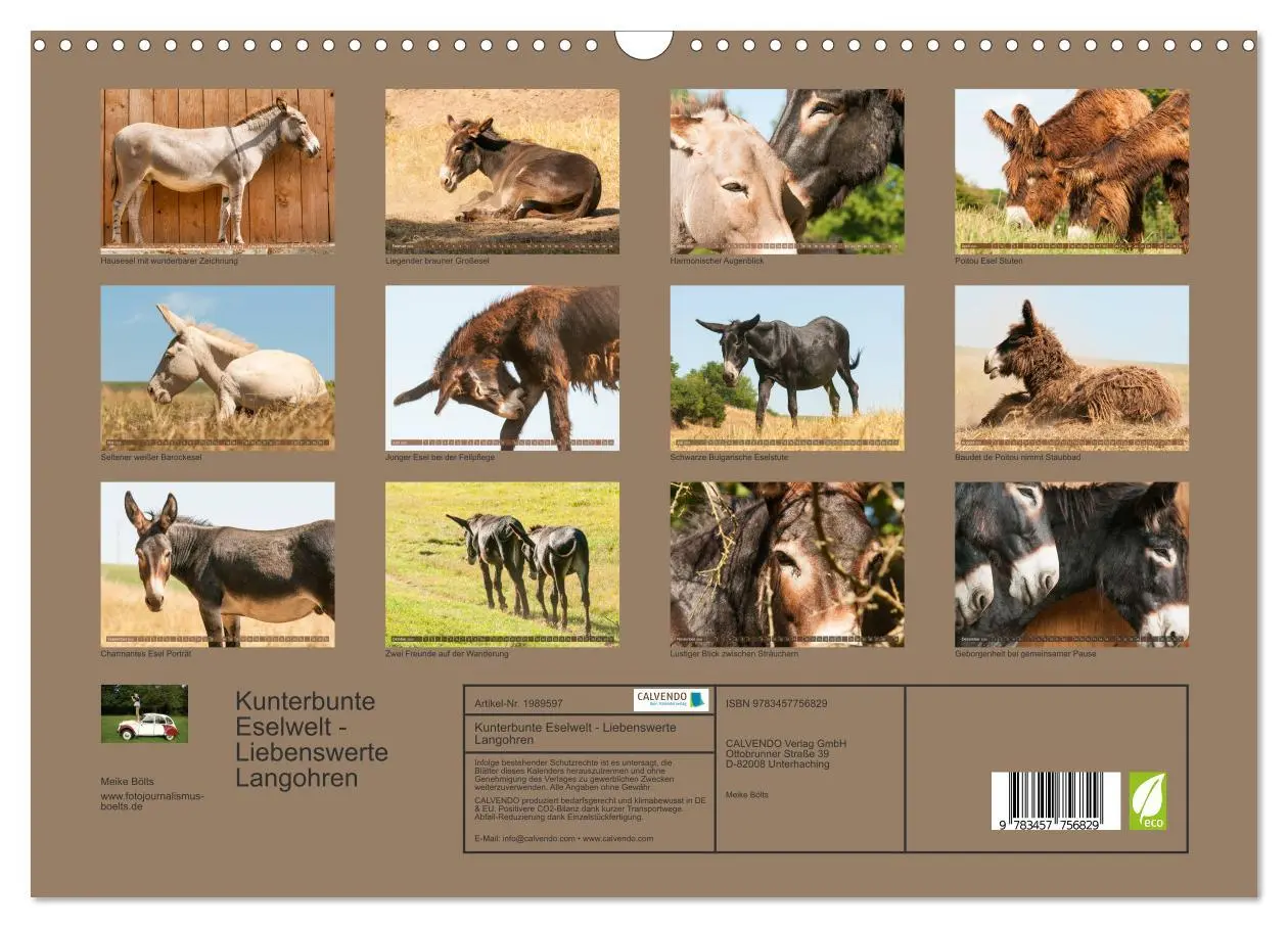 Bild: 9783457756829 | Kunterbunte Eselwelt - Liebenswerte Langohren (Wandkalender 2026...