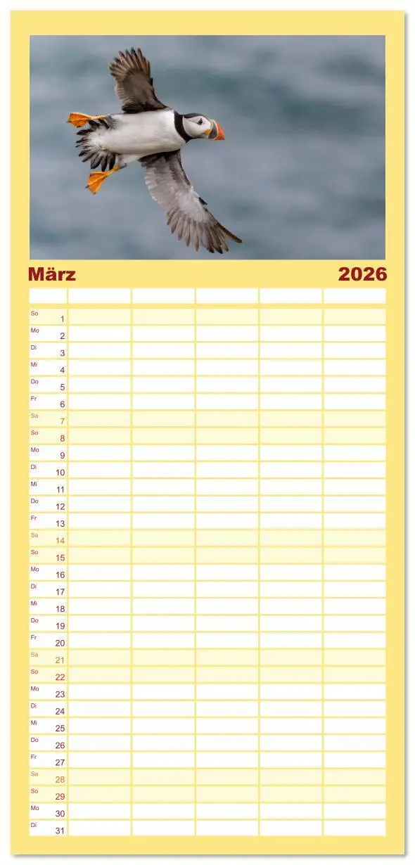 Bild: 9783516606829 | Familienplaner 2026 - Papageientaucher - Farbenfrohe Flieger der...