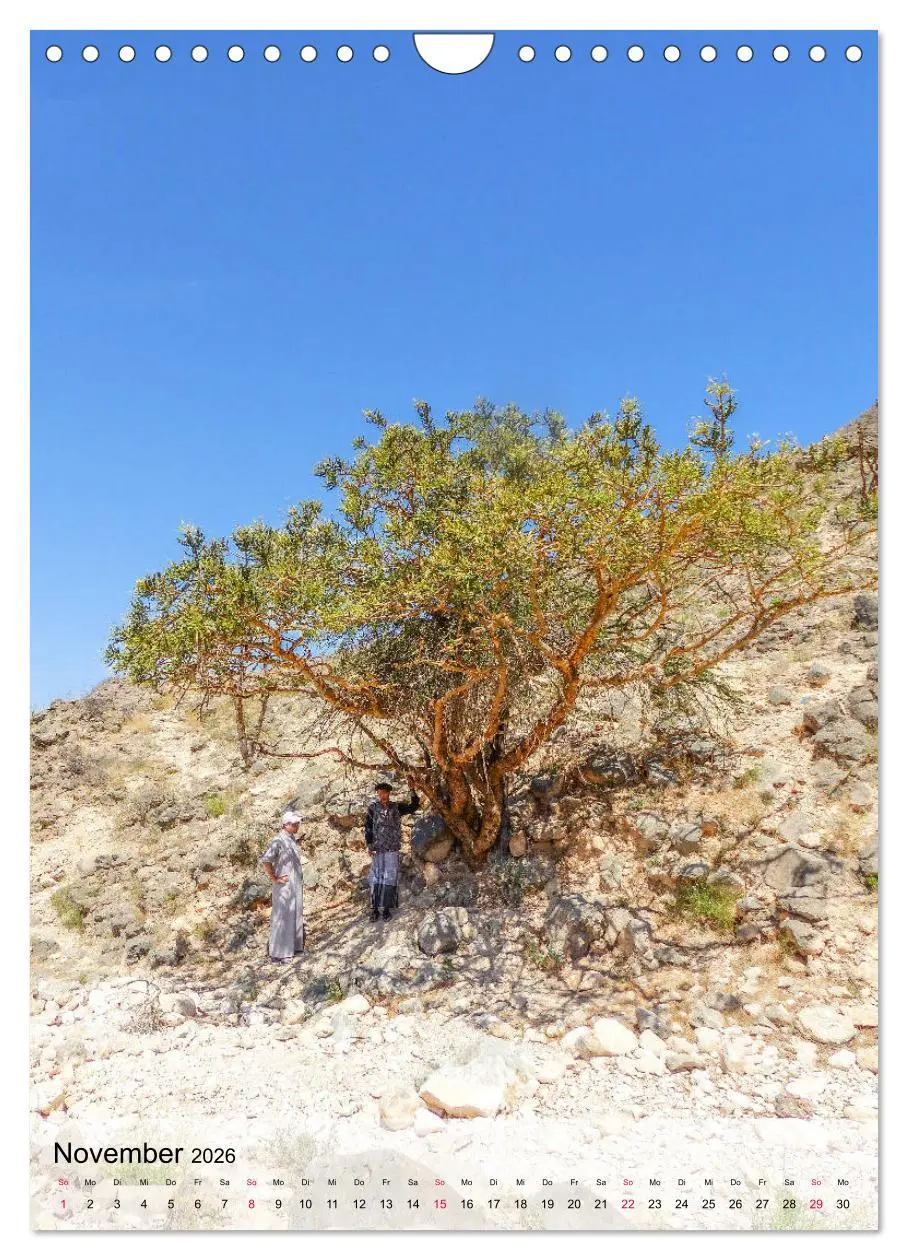 Bild: 9783516386929 | Zauberhafter Oman (Wandkalender 2026 DIN A4 hoch), CALVENDO...