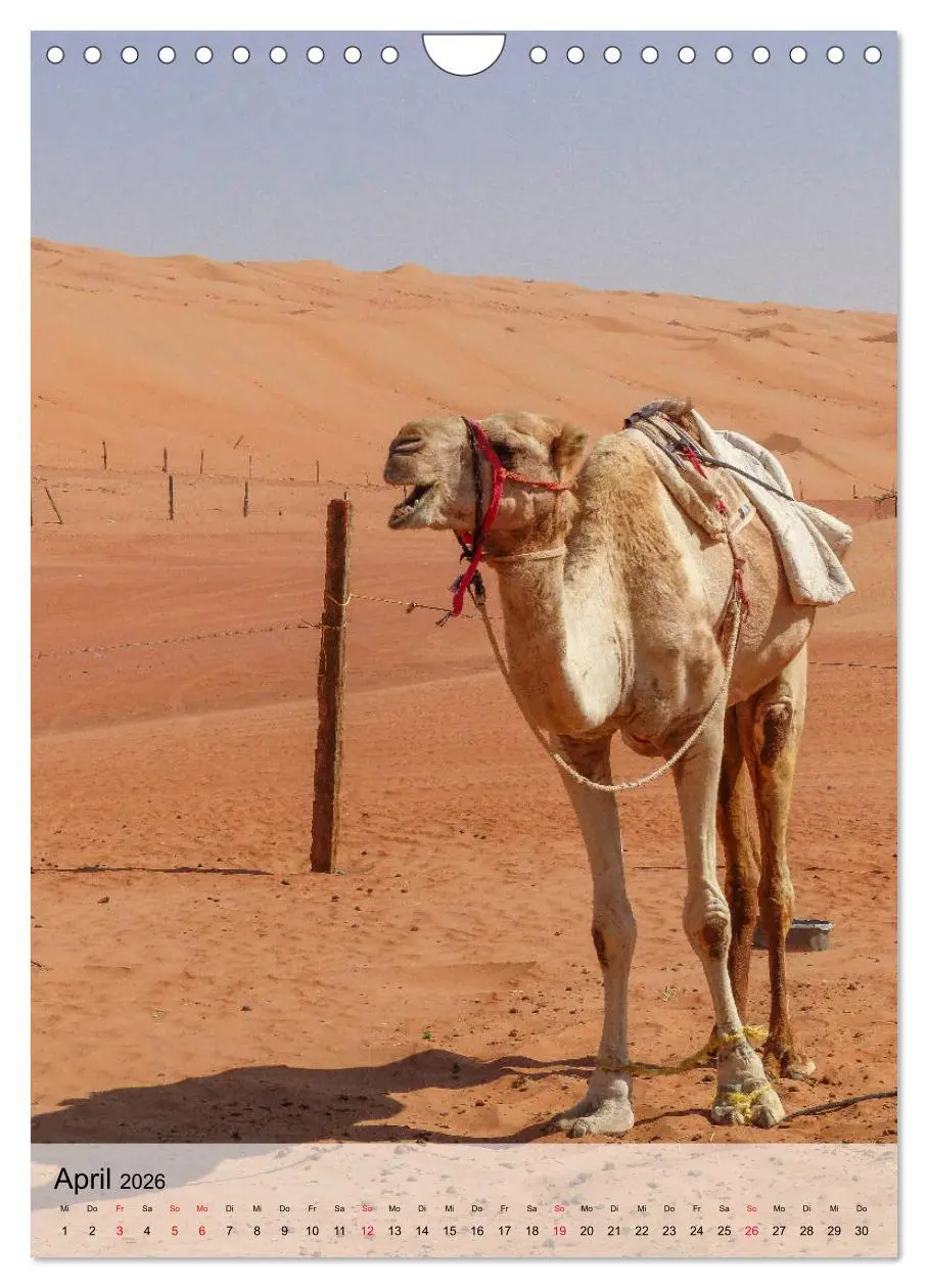 Bild: 9783516386929 | Zauberhafter Oman (Wandkalender 2026 DIN A4 hoch), CALVENDO...