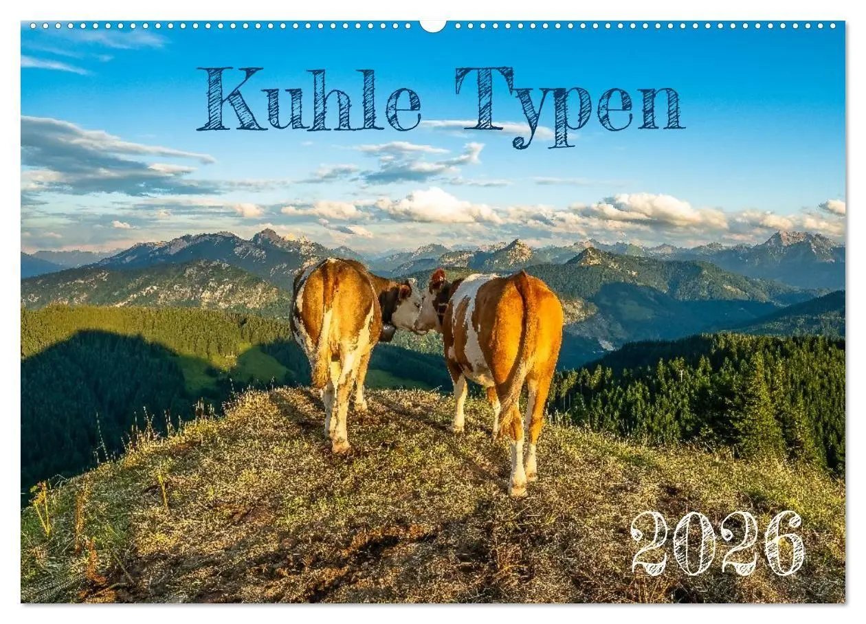 Cover: 9783516696929 | Kuhle Typen (Wandkalender 2026 DIN A2 quer), CALVENDO Monatskalender