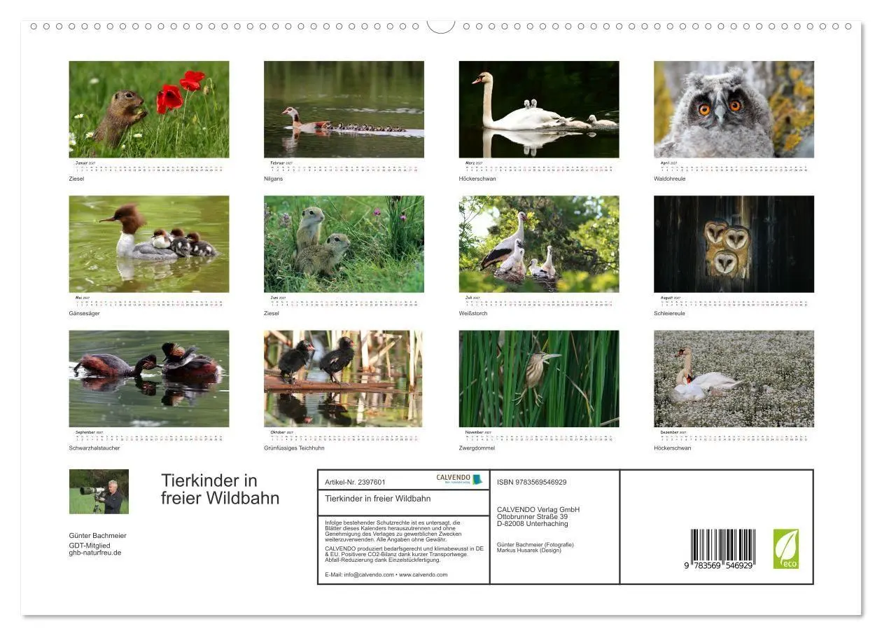 Bild: 9783569546929 | Tierkinder in freier Wildbahn (hochwertiger Premium Wandkalender...
