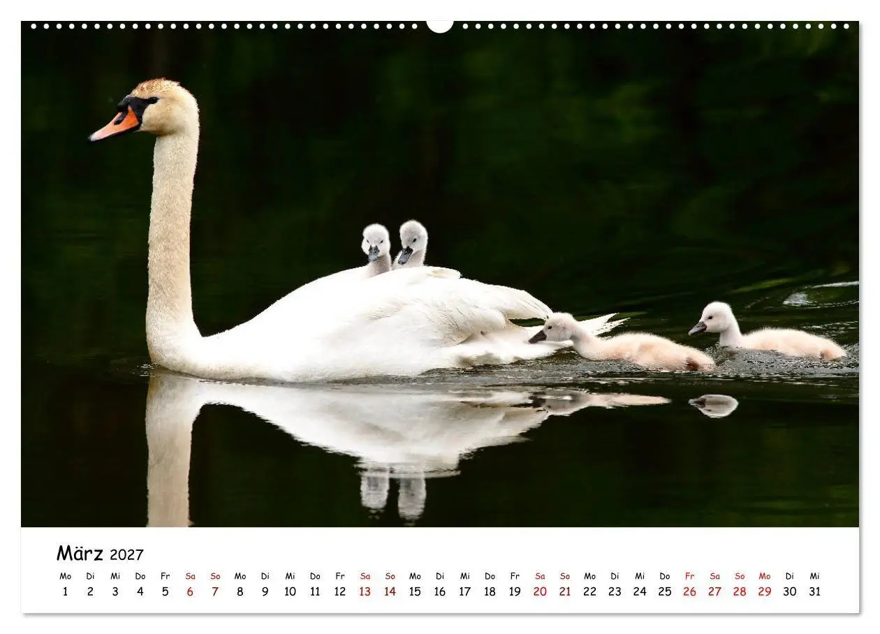 Bild: 9783569546929 | Tierkinder in freier Wildbahn (hochwertiger Premium Wandkalender...