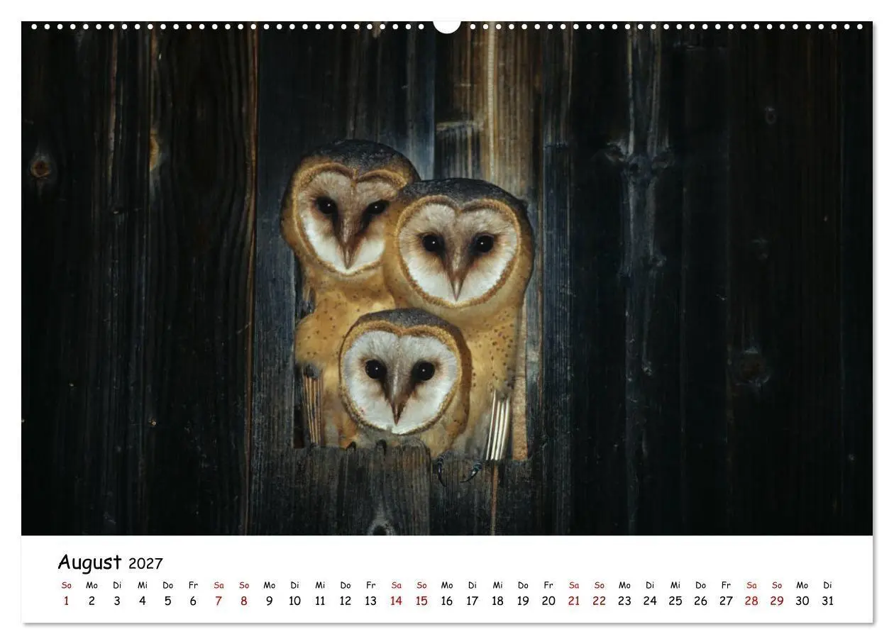 Bild: 9783569546929 | Tierkinder in freier Wildbahn (hochwertiger Premium Wandkalender...