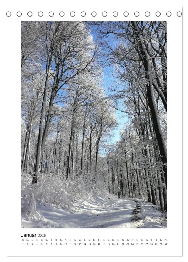 Bild: 9783435927029 | Mein Sehnsuchtsort, der Wald (Tischkalender 2025 DIN A5 hoch),...