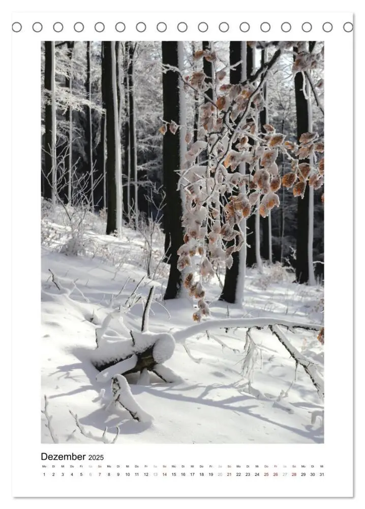 Bild: 9783435927029 | Mein Sehnsuchtsort, der Wald (Tischkalender 2025 DIN A5 hoch),...