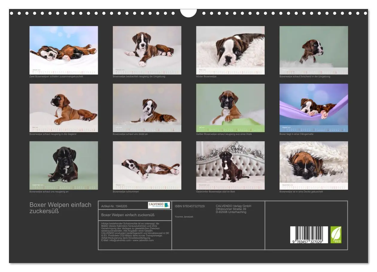 Bild: 9783457327029 | Boxer Welpen einfach zuckersüß (Wandkalender 2026 DIN A3 quer),...