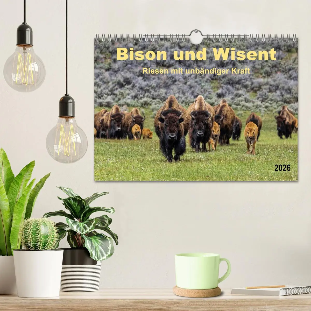 Bild: 9783516037029 | Bison und Wisent - Riesen mit unbändiger Kraft (Wandkalender 2026...