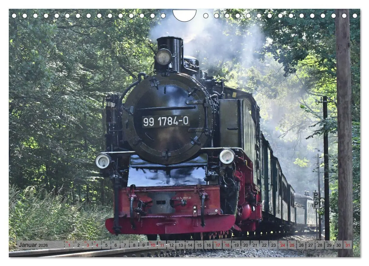 Bild: 9783457627129 | Mit Dampf durch die Natur Rügens (Wandkalender 2026 DIN A4 quer),...