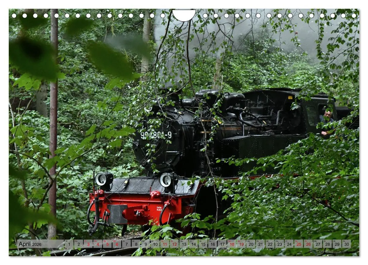 Bild: 9783457627129 | Mit Dampf durch die Natur Rügens (Wandkalender 2026 DIN A4 quer),...