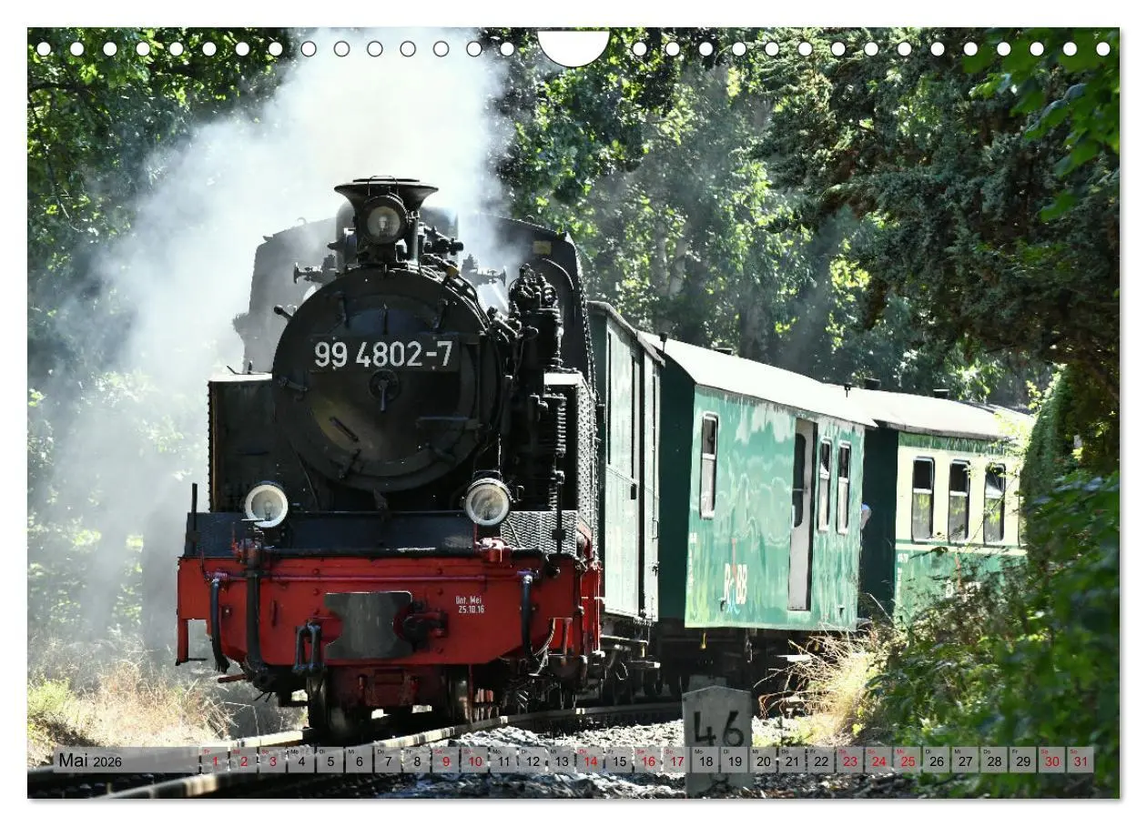Bild: 9783457627129 | Mit Dampf durch die Natur Rügens (Wandkalender 2026 DIN A4 quer),...