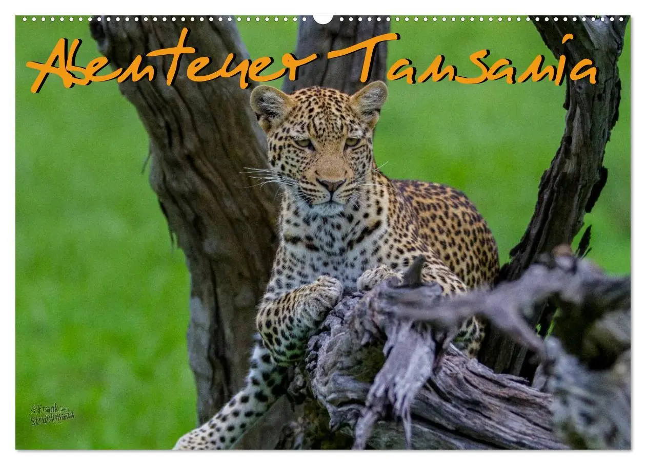 Cover: 9783516197129 | Abenteuer Tansania, Afrika (Wandkalender 2026 DIN A2 quer),...