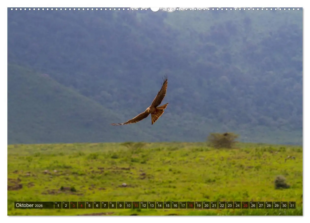 Bild: 9783516197129 | Abenteuer Tansania, Afrika (Wandkalender 2026 DIN A2 quer),...