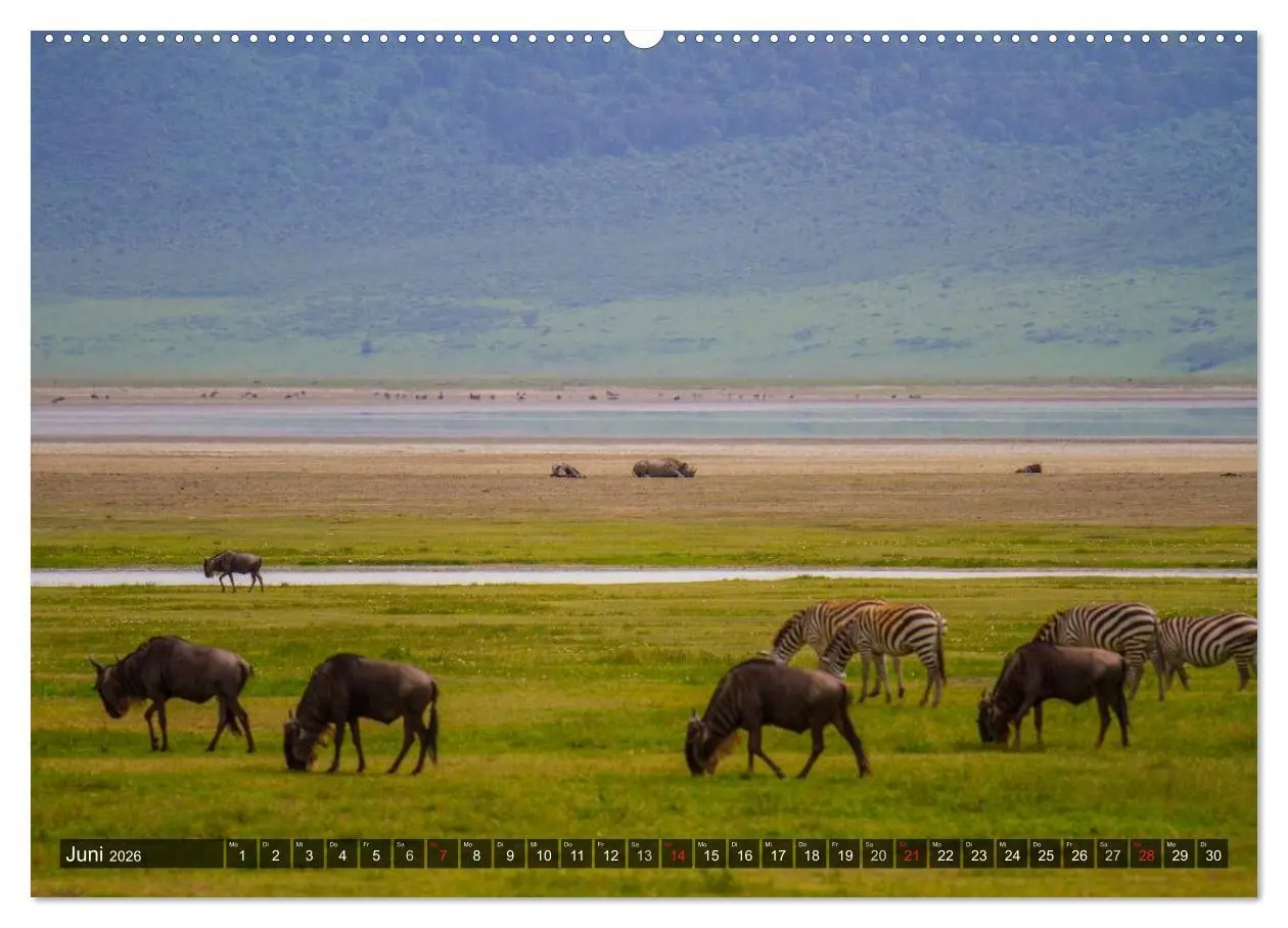 Bild: 9783516197129 | Abenteuer Tansania, Afrika (Wandkalender 2026 DIN A2 quer),...