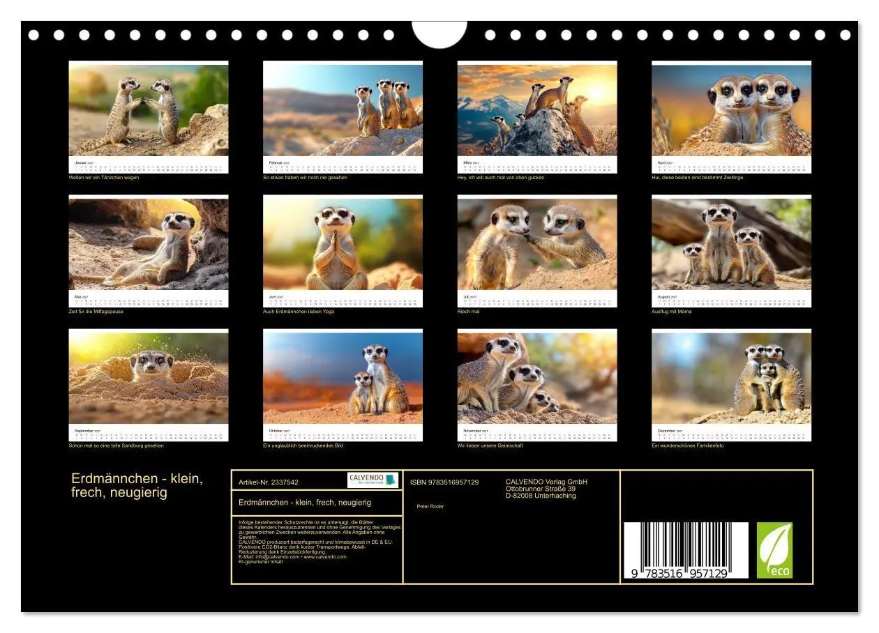 Bild: 9783516957129 | Erdmännchen - klein, frech, neugierig (Wandkalender 2027 DIN A4...